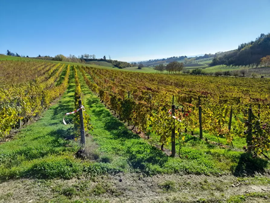 Immagine 13 di Rustico / casale in vendita  in CASCINA POZZANO 7/8 a Rosignano Monferrato
