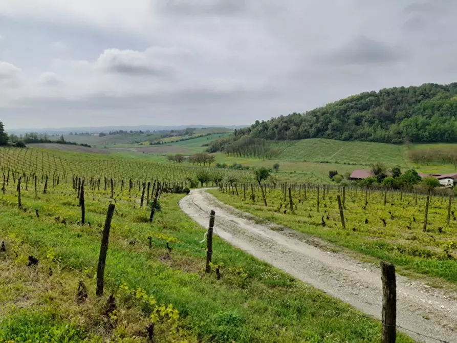 Immagine 16 di Rustico / casale in vendita  in CASCINA POZZANO 7/8 a Rosignano Monferrato