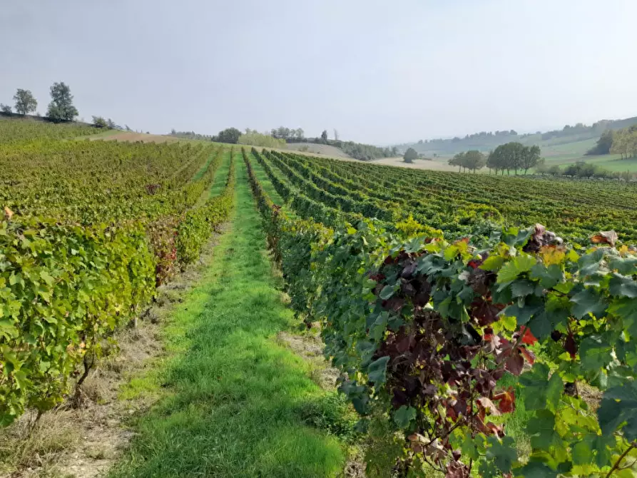 Immagine 18 di Rustico / casale in vendita  in CASCINA POZZANO 7/8 a Rosignano Monferrato