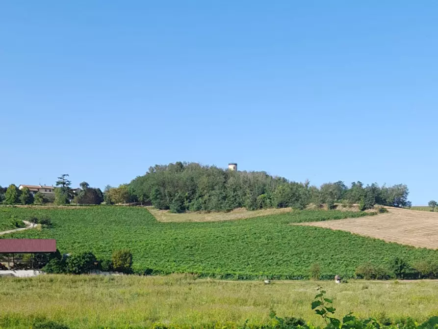 Immagine 19 di Rustico / casale in vendita  in CASCINA POZZANO 7/8 a Rosignano Monferrato