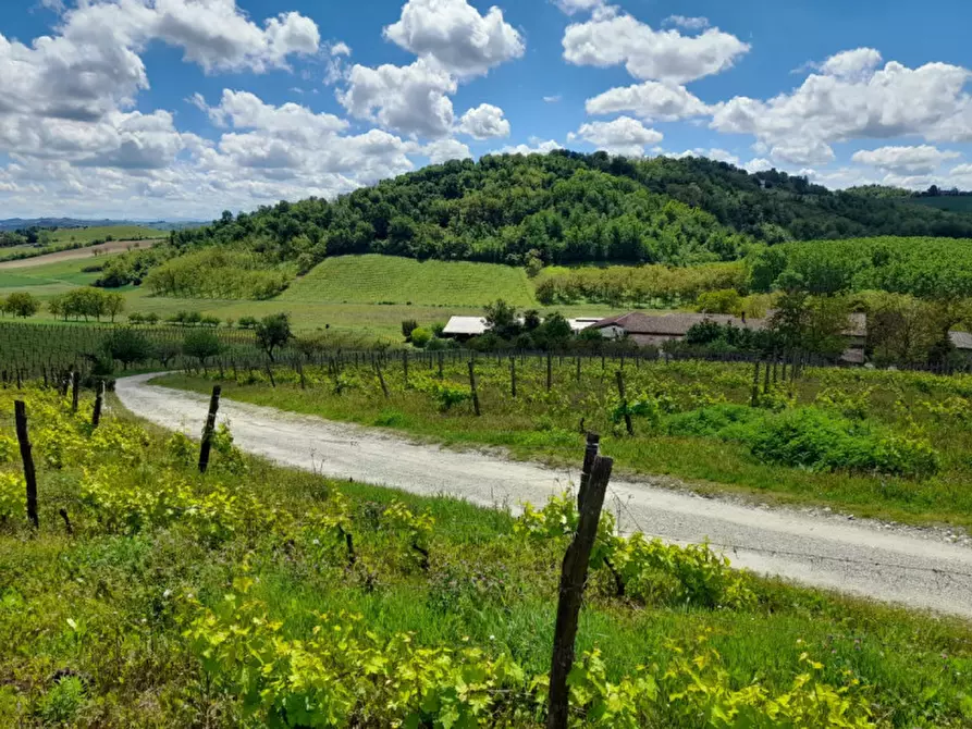 Immagine 20 di Rustico / casale in vendita  in CASCINA POZZANO 7/8 a Rosignano Monferrato