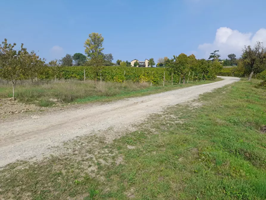 Immagine 23 di Rustico / casale in vendita  in CASCINA POZZANO 7/8 a Rosignano Monferrato