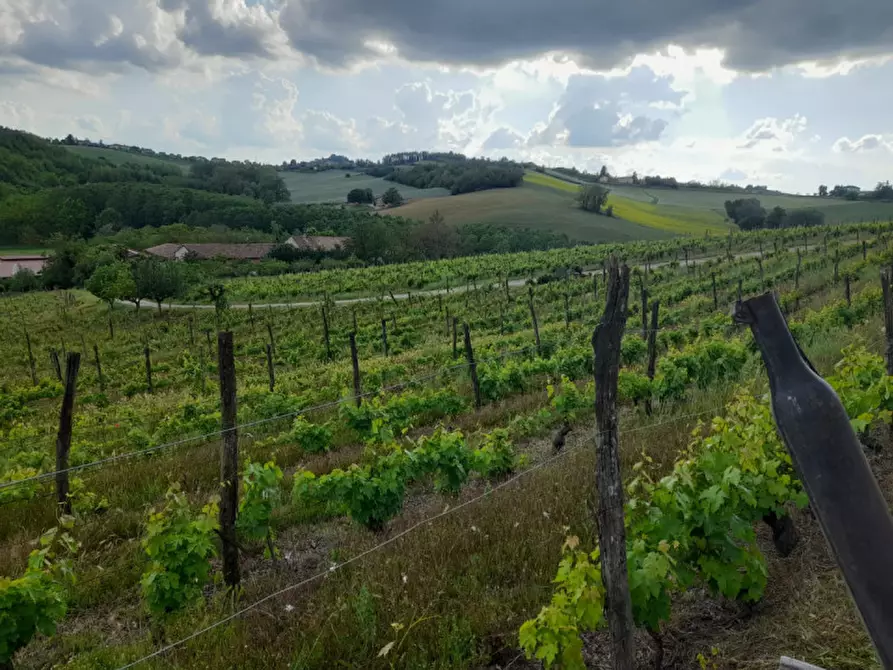 Immagine 26 di Rustico / casale in vendita  in CASCINA POZZANO 7/8 a Rosignano Monferrato