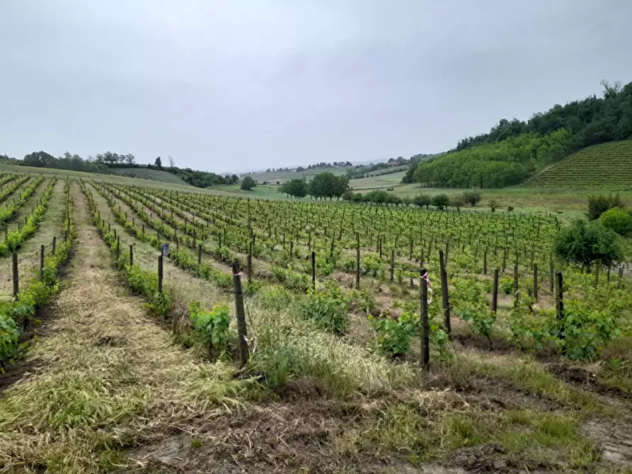 Immagine 29 di Rustico / casale in vendita  in CASCINA POZZANO 7/8 a Rosignano Monferrato