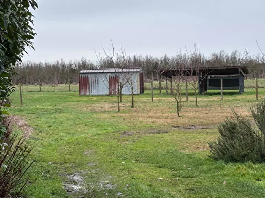 Immagine 6 di Villetta a schiera in vendita  a Trecenta