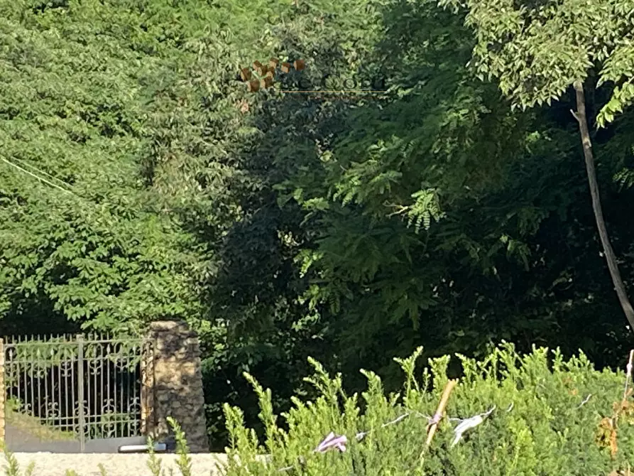 Immagine 6 di Villa in vendita  a Lonigo