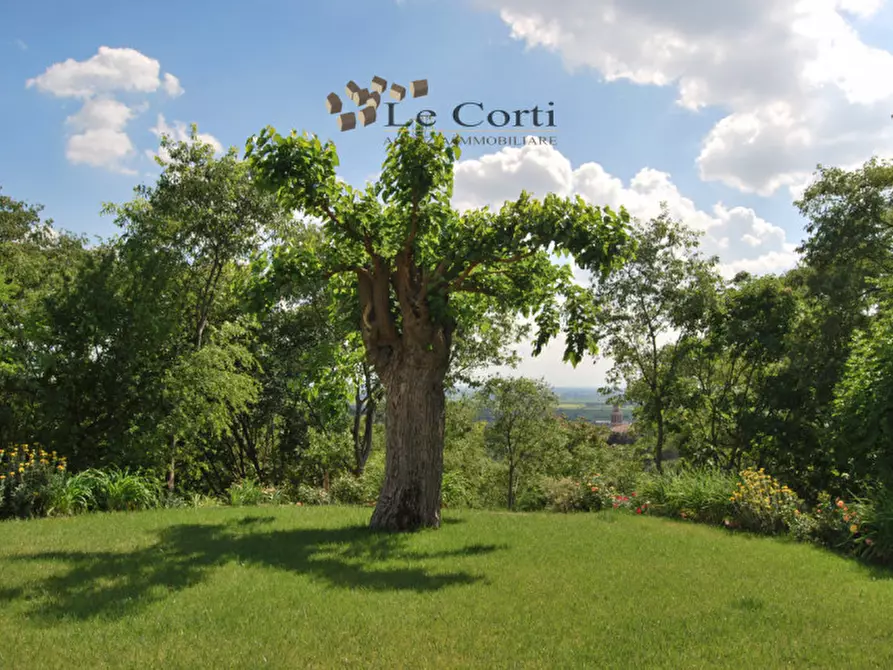 Immagine 9 di Villa in vendita  a Lonigo