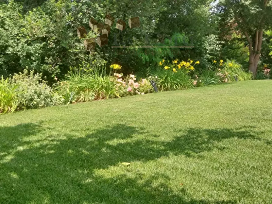 Immagine 9 di Rustico / casale in vendita  a Lonigo