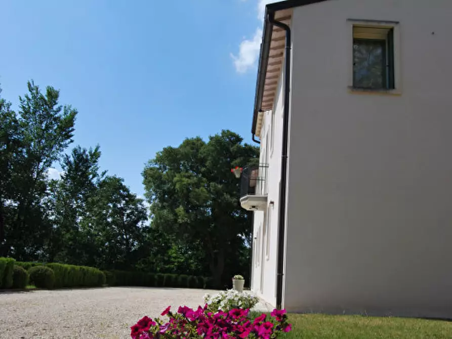 Immagine 11 di Villa in vendita  a Lonigo