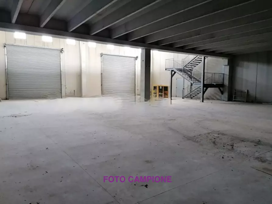 Immagine 9 di Capannone industriale in vendita  in VIA ROMA 1 a Pianiga