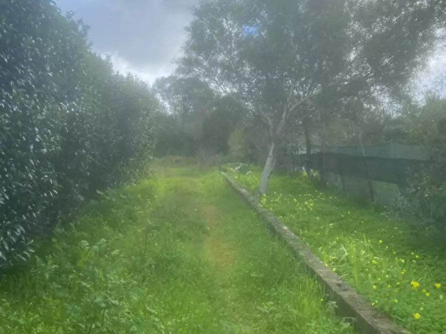 Immagine 3 di Terreno in vendita  in sv Pittiriccu a Sassari