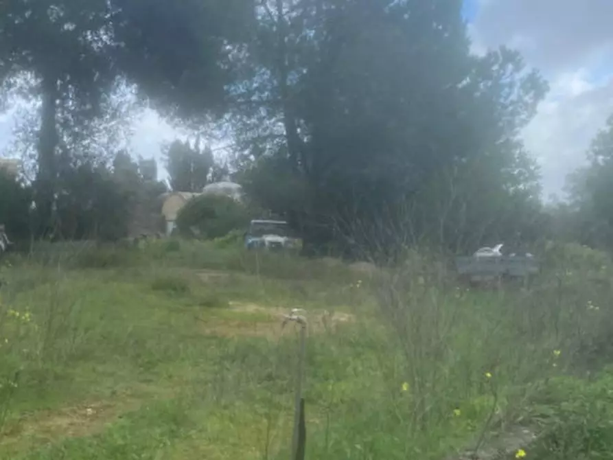 Immagine 4 di Terreno in vendita  in sv Pittiriccu a Sassari