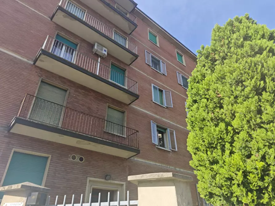 Immagine 1 di Appartamento in affitto  in Via Camillo Ranzani a Bologna
