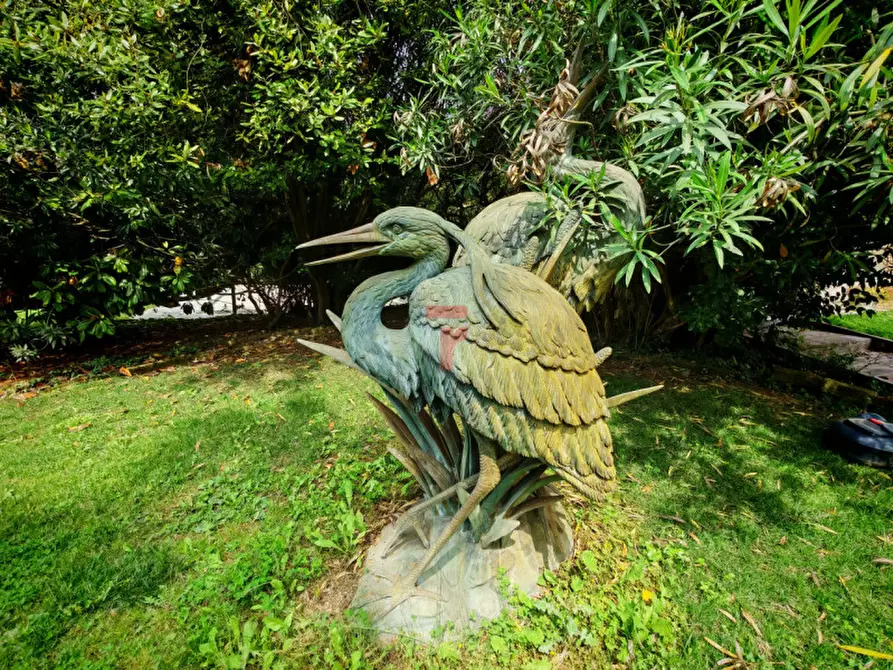 Immagine 45 di Villa in vendita  in Via Vigonovese a Padova