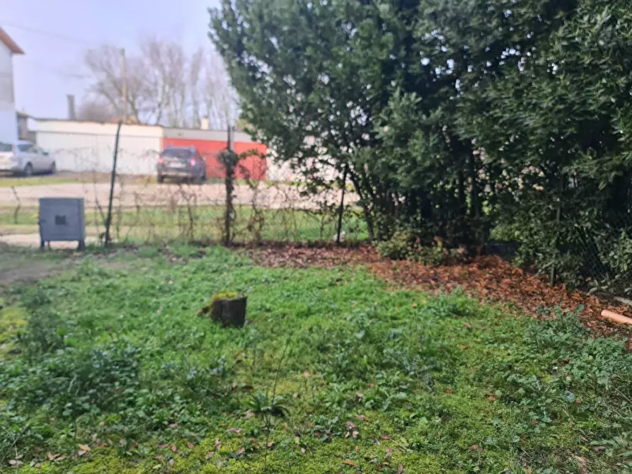 Immagine 14 di Villetta a schiera in vendita  in Via del Boschetto 30 a Lagosanto