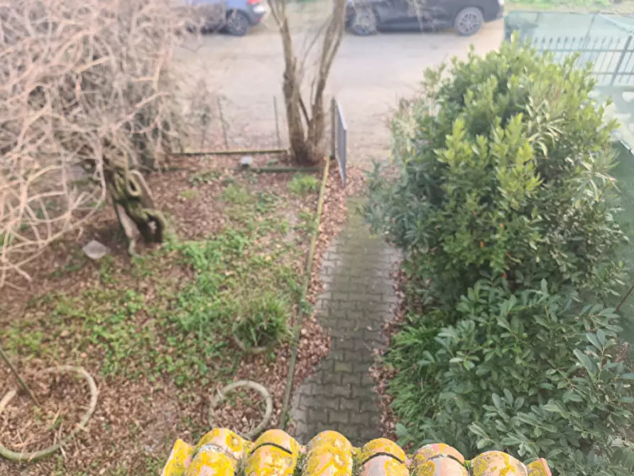 Immagine 26 di Villetta a schiera in vendita  in Via del Boschetto 30 a Lagosanto