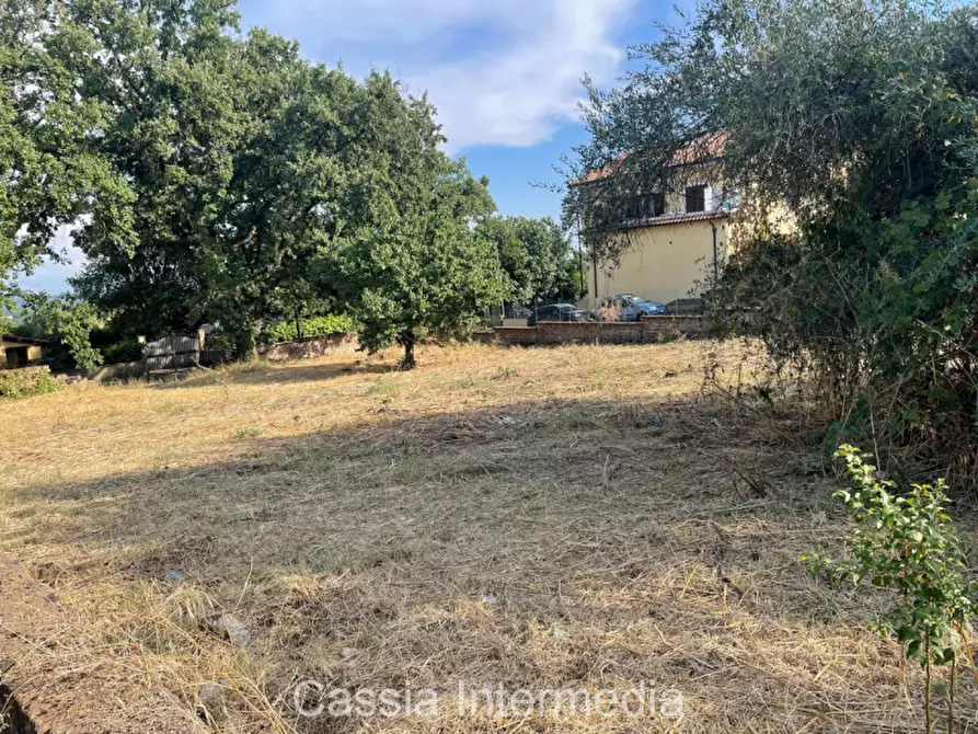 Immagine 1 di Terreno in vendita  in Via Strada Nuova 44 a Monterosi