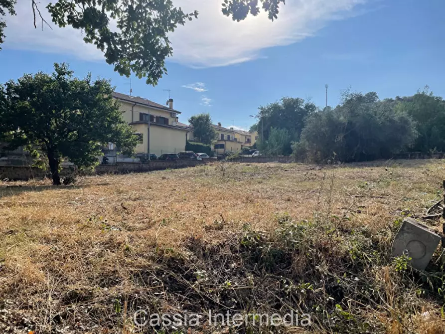 Immagine 2 di Terreno in vendita  in Via Strada Nuova 44 a Monterosi