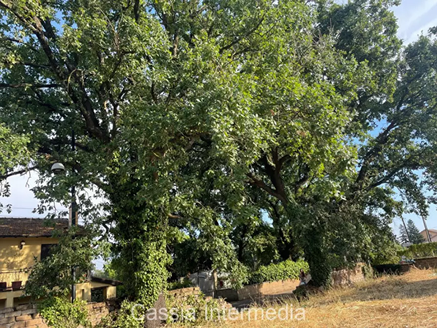 Immagine 3 di Terreno in vendita  in Via Strada Nuova 44 a Monterosi