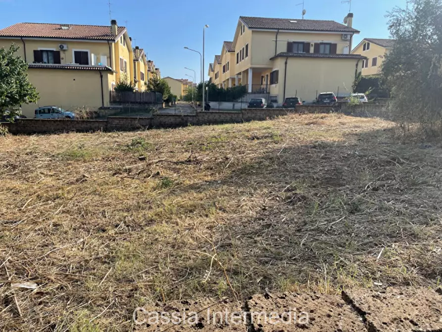 Immagine 4 di Terreno in vendita  in Via Strada Nuova 44 a Monterosi