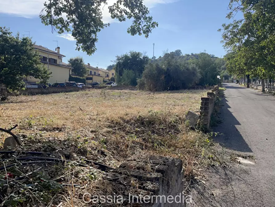 Immagine 5 di Terreno in vendita  in Via Strada Nuova 44 a Monterosi