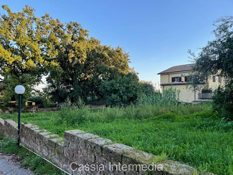 Immagine 6 di Terreno in vendita  in Via Strada Nuova 44 a Monterosi