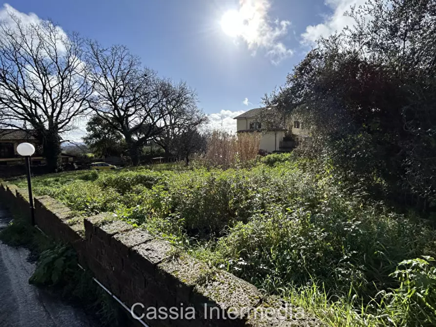 Immagine 7 di Terreno in vendita  in Via Strada Nuova 44 a Monterosi