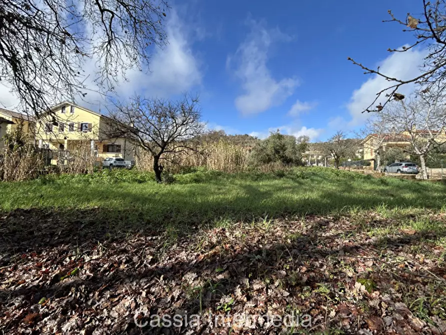 Immagine 8 di Terreno in vendita  in Via Strada Nuova 44 a Monterosi