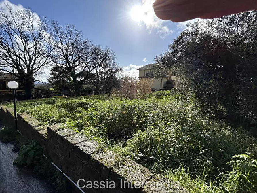 Immagine 9 di Terreno in vendita  in Via Strada Nuova 44 a Monterosi
