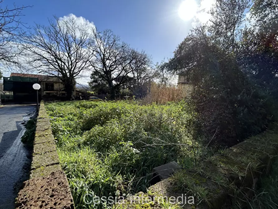 Immagine 10 di Terreno in vendita  in Via Strada Nuova 44 a Monterosi