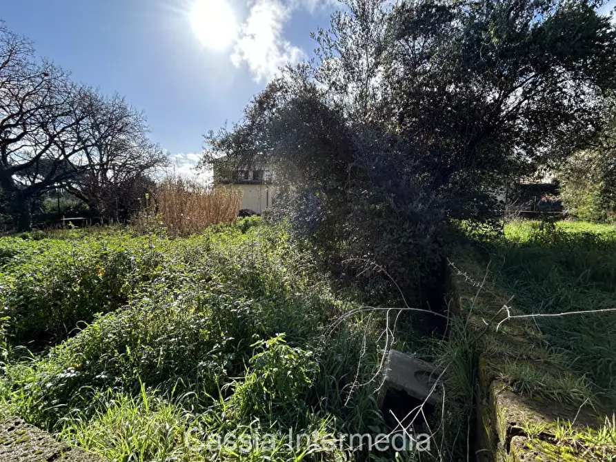 Immagine 11 di Terreno in vendita  in Via Strada Nuova 44 a Monterosi