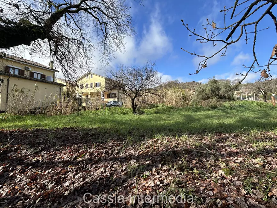 Immagine 12 di Terreno in vendita  in Via Strada Nuova 44 a Monterosi