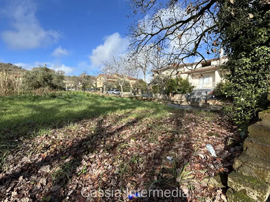 Immagine 13 di Terreno in vendita  in Via Strada Nuova 44 a Monterosi