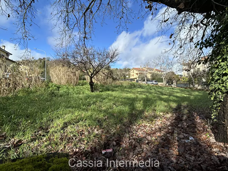 Immagine 15 di Terreno in vendita  in Via Strada Nuova 44 a Monterosi