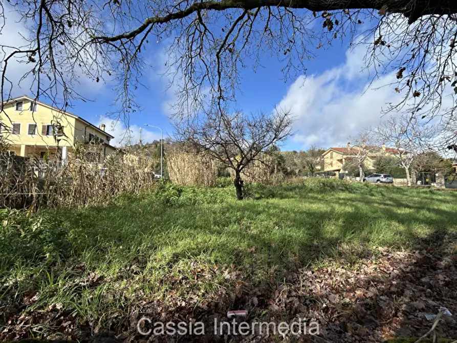 Immagine 16 di Terreno in vendita  in Via Strada Nuova 44 a Monterosi