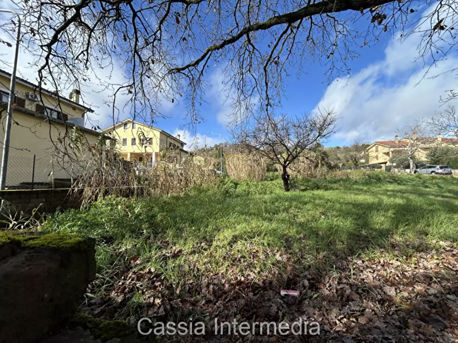 Immagine 17 di Terreno in vendita  in Via Strada Nuova 44 a Monterosi