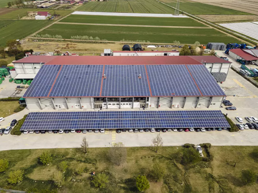 Immagine 1 di Capannone industriale in vendita  in Via San Basilio a Taglio Di Po