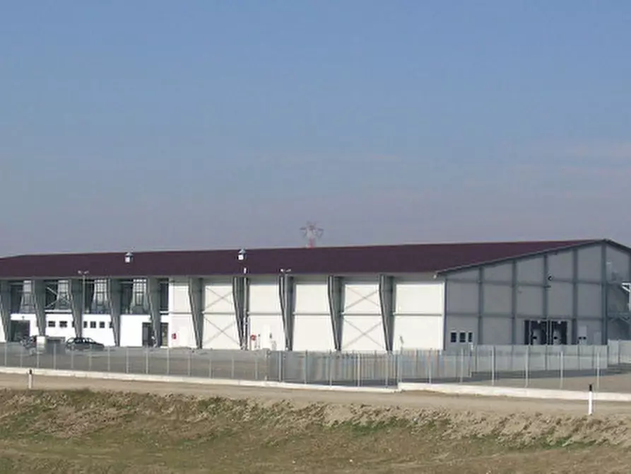 Immagine 2 di Capannone industriale in vendita  in Via San Basilio a Taglio Di Po