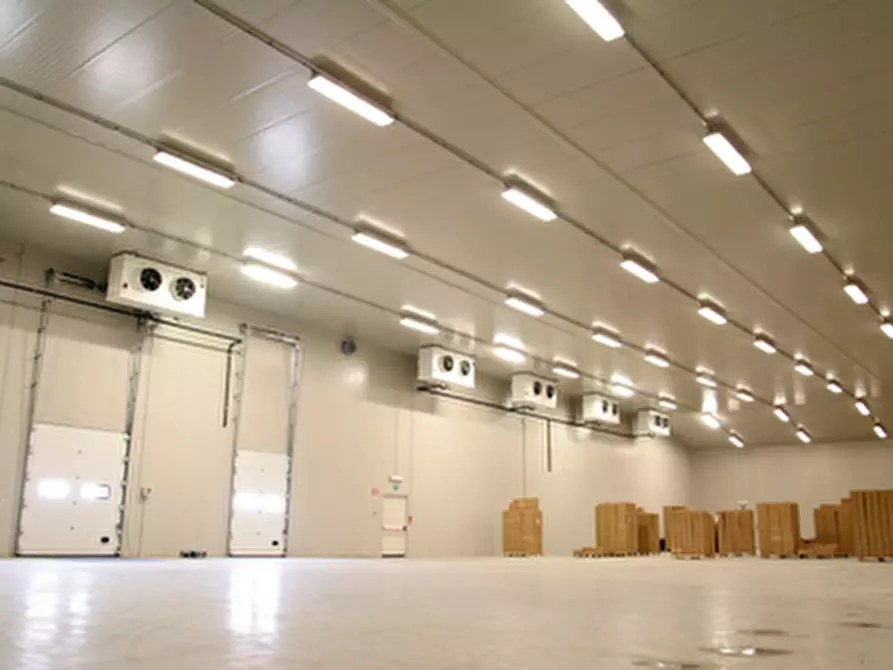 Immagine 5 di Capannone industriale in vendita  in Via San Basilio a Taglio Di Po