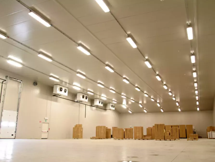 Immagine 6 di Capannone industriale in vendita  in Via San Basilio a Taglio Di Po