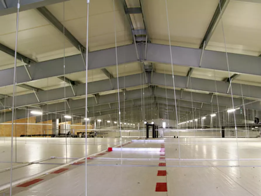 Immagine 10 di Capannone industriale in vendita  in Via San Basilio a Taglio Di Po