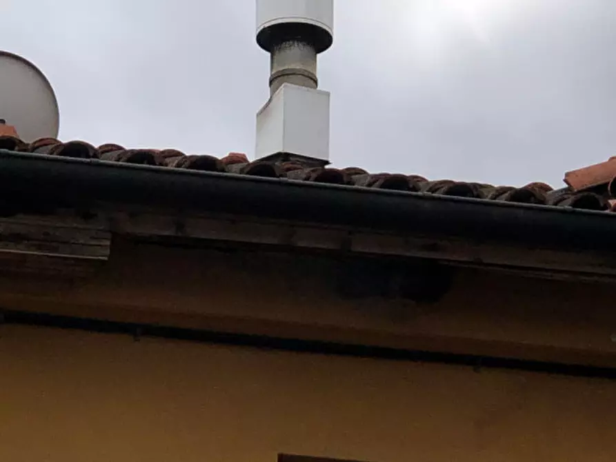 Immagine 9 di Attività commerciale in affitto  in VIA PRINCIPE DELLA CISTERNA 21 a Reano