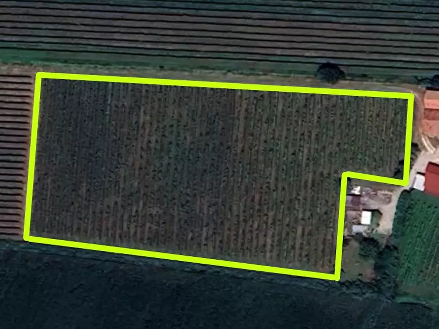 Immagine 1 di Terreno in vendita  in VIA ARGINE BISATTO a Cinto Euganeo