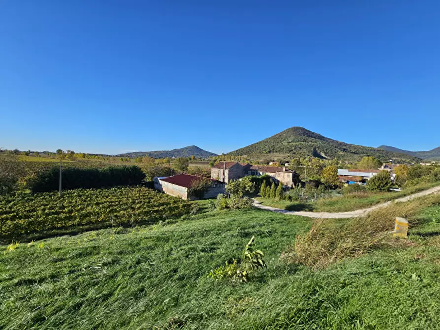 Immagine 2 di Terreno in vendita  in VIA ARGINE BISATTO a Cinto Euganeo