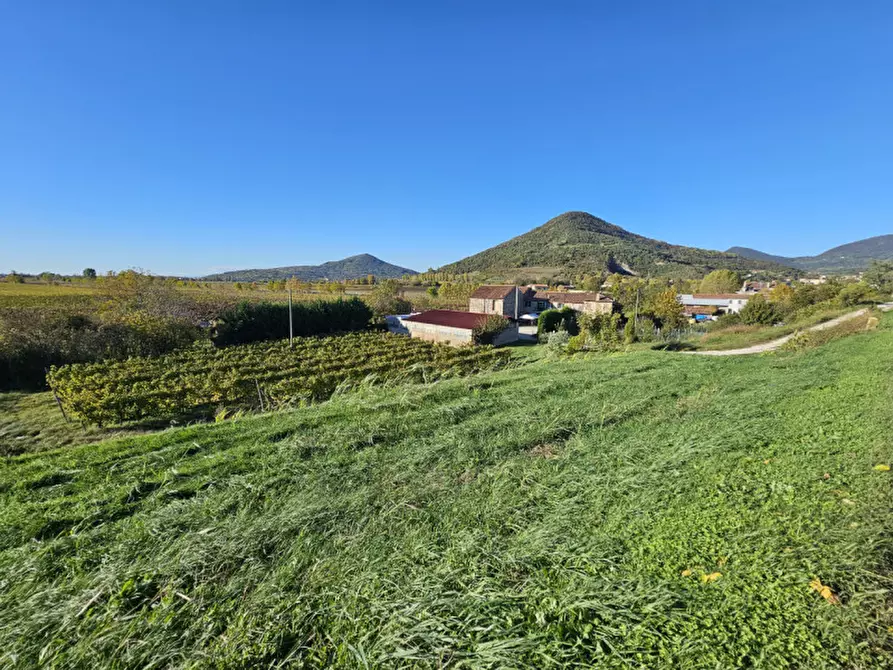 Immagine 4 di Terreno in vendita  in VIA ARGINE BISATTO a Cinto Euganeo