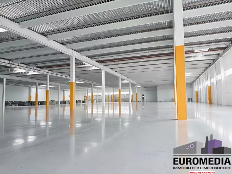 Immagine 3 di Capannone industriale in affitto  in Via Roma a Oppeano