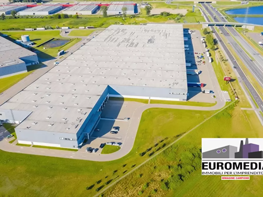 Immagine 5 di Capannone industriale in affitto  in SS 434 Transpolesana a Isola Rizza