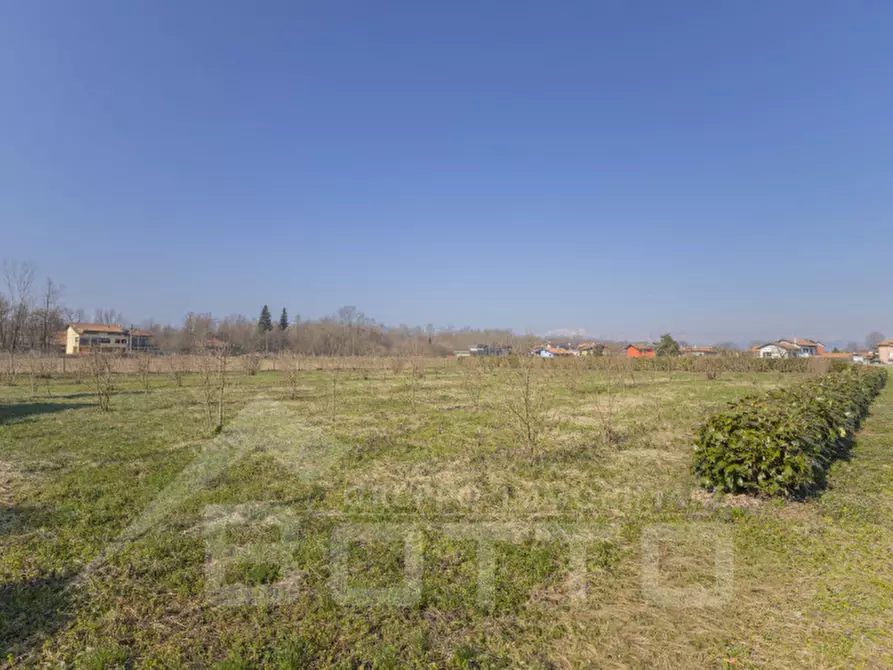 Immagine 5 di Terreno in vendita  in VIA MATTIOLI a Cressa