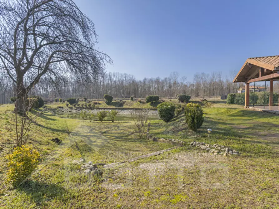 Immagine 7 di Terreno in vendita  in VIA MATTIOLI a Cressa