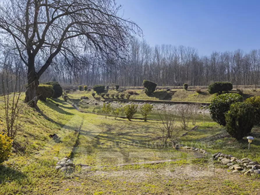 Immagine 15 di Terreno in vendita  in VIA MATTIOLI a Cressa